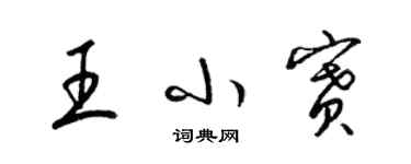 梁锦英王小赛草书个性签名怎么写