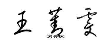 梁锦英王菁雯草书个性签名怎么写