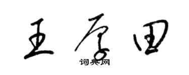 梁锦英王厚田草书个性签名怎么写