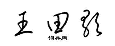 梁锦英王田歌草书个性签名怎么写