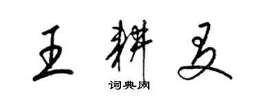 梁锦英王耕友草书个性签名怎么写