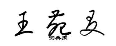 梁锦英王苑友草书个性签名怎么写