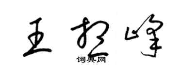 梁锦英王想峰草书个性签名怎么写
