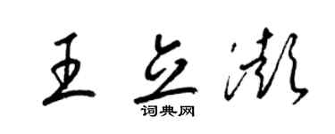 梁锦英王立澎草书个性签名怎么写