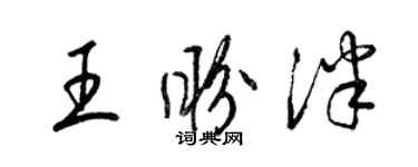 梁锦英王盼泮草书个性签名怎么写