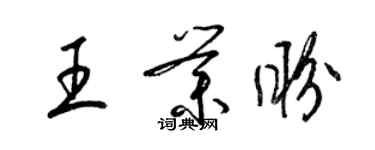 梁锦英王业盼草书个性签名怎么写