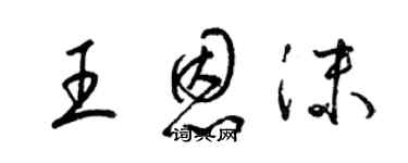 梁锦英王恩沫草书个性签名怎么写
