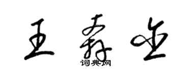 梁锦英王奔含草书个性签名怎么写