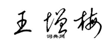梁锦英王增梅草书个性签名怎么写