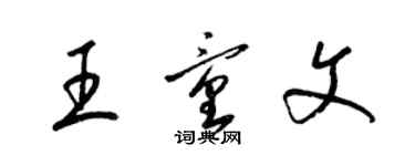 梁锦英王童文草书个性签名怎么写