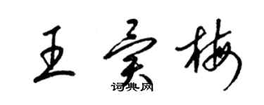 梁锦英王异梅草书个性签名怎么写