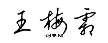 梁锦英王梅霜草书个性签名怎么写