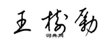 梁锦英王树励草书个性签名怎么写