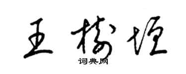 梁锦英王树垣草书个性签名怎么写