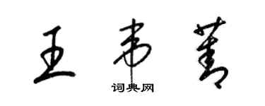 梁锦英王韦菁草书个性签名怎么写