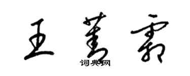 梁锦英王菁霜草书个性签名怎么写