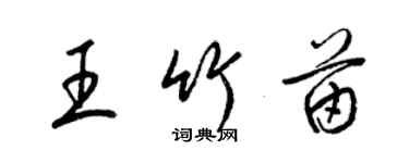 梁锦英王竹苗草书个性签名怎么写