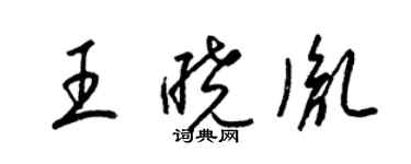 梁锦英王晓胤草书个性签名怎么写