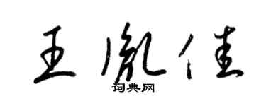 梁锦英王胤佳草书个性签名怎么写
