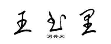 梁锦英王书里草书个性签名怎么写