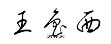梁锦英王鲁西草书个性签名怎么写