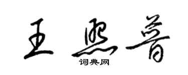 梁锦英王照普草书个性签名怎么写