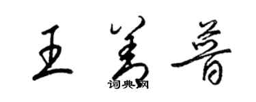 梁锦英王善普草书个性签名怎么写