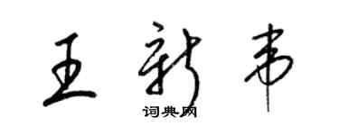 梁锦英王新韦草书个性签名怎么写