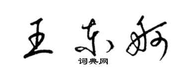 梁锦英王东舸草书个性签名怎么写