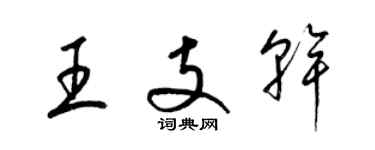 梁锦英王支干草书个性签名怎么写