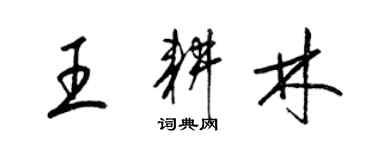 梁锦英王耕林草书个性签名怎么写