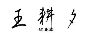 梁锦英王耕夕草书个性签名怎么写