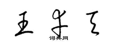 梁锦英王幸天草书个性签名怎么写