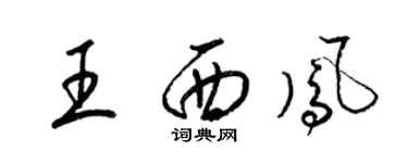 梁锦英王西凤草书个性签名怎么写