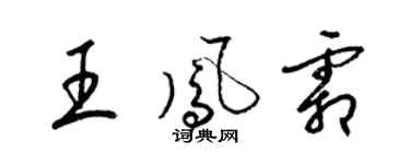 梁锦英王凤霜草书个性签名怎么写
