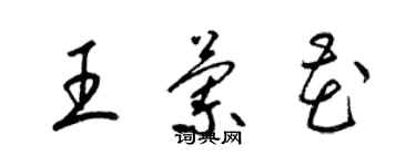 梁锦英王兰花草书个性签名怎么写