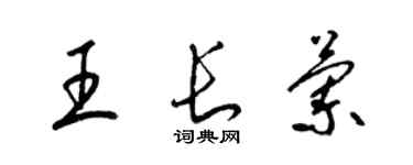 梁锦英王长兰草书个性签名怎么写