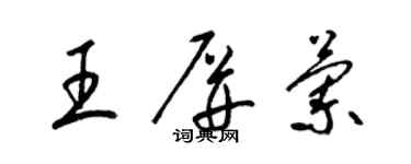 梁锦英王屏兰草书个性签名怎么写