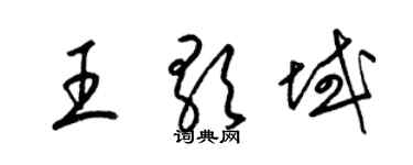 梁锦英王歌域草书个性签名怎么写