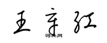 梁锦英王辛红草书个性签名怎么写
