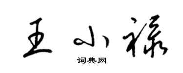 梁锦英王小禄草书个性签名怎么写