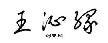 梁锦英王沁缘草书个性签名怎么写
