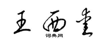 梁锦英王西爱草书个性签名怎么写