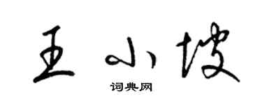 梁锦英王小坡草书个性签名怎么写