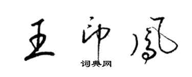 梁锦英王印凤草书个性签名怎么写