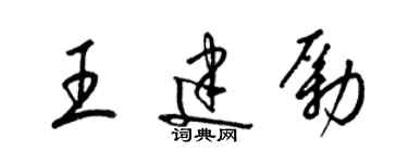 梁锦英王建励草书个性签名怎么写
