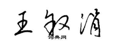 梁锦英王叙涓草书个性签名怎么写