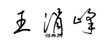 梁锦英王涓峰草书个性签名怎么写
