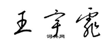 梁锦英王宇霏草书个性签名怎么写