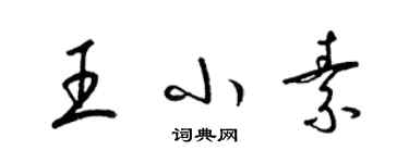 梁锦英王小素草书个性签名怎么写